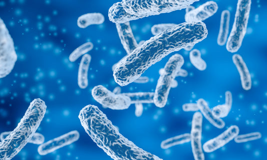 WellO2 ja legionella