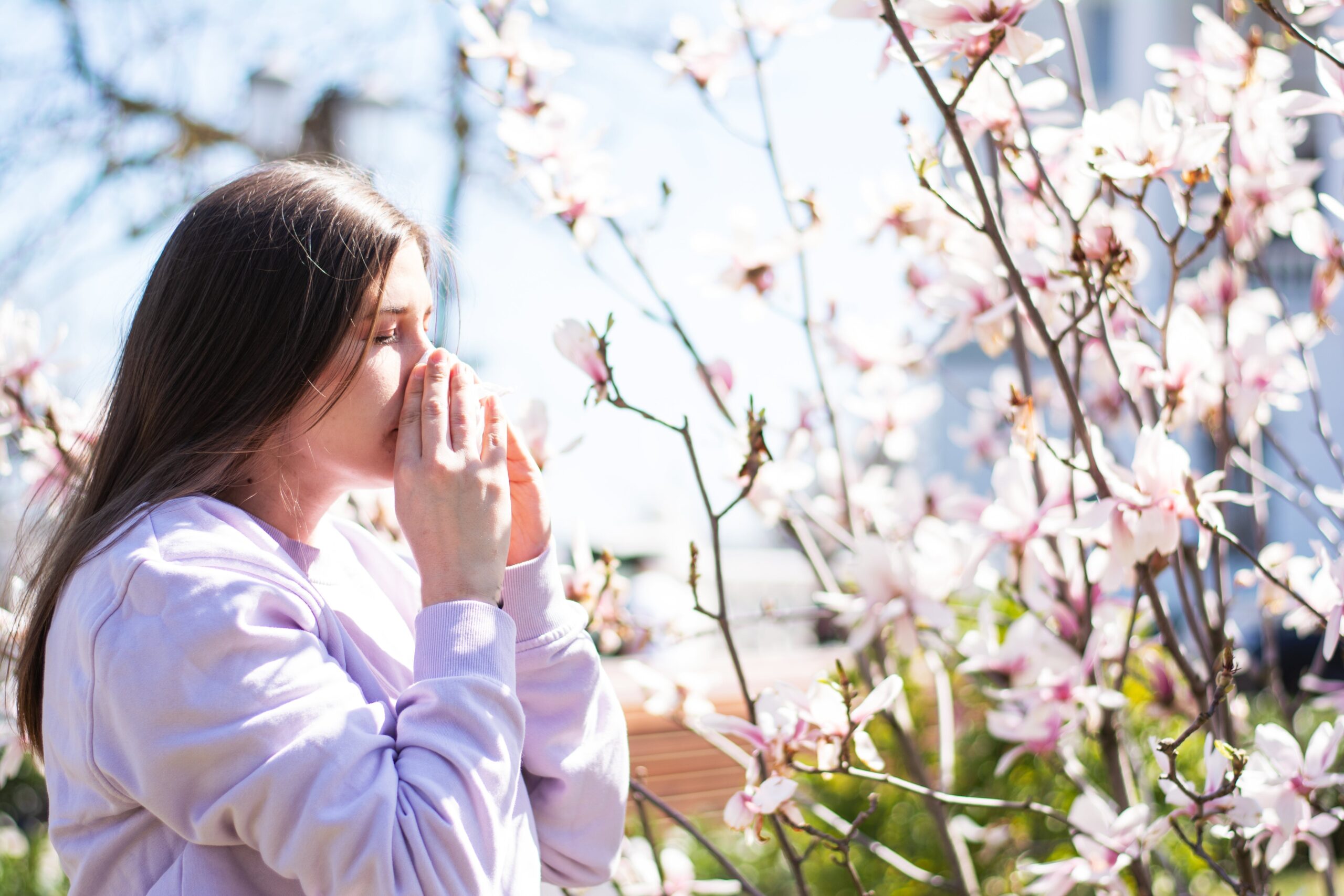 A person sneezing next to a cherry tree